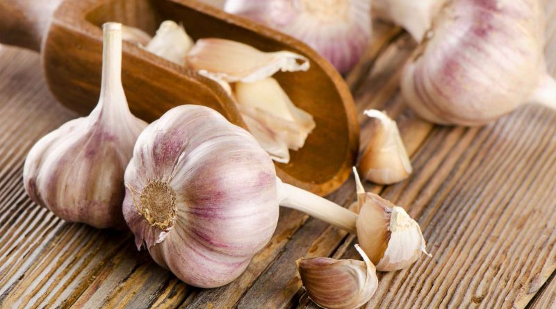 L’ail : un antibiotique naturel !