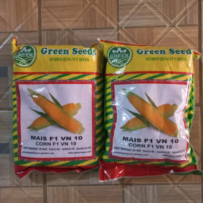 Maïs F1 VN 10
