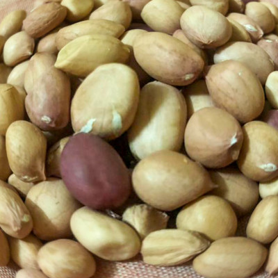 Arachide  décortiqué  (kilo)