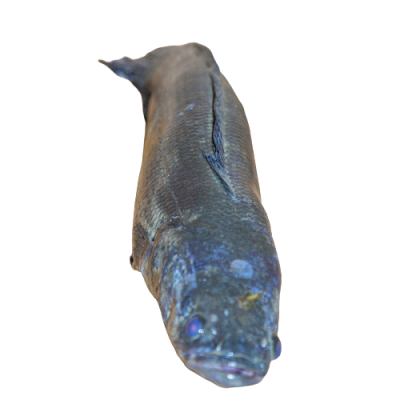 Poisson Korombou/ Kg