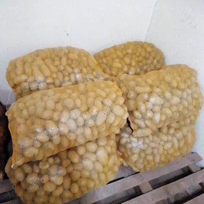 Pomme de terre en sacs de 50kg