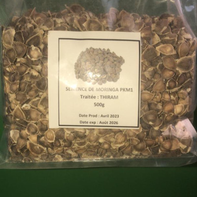 Moringa PKM1