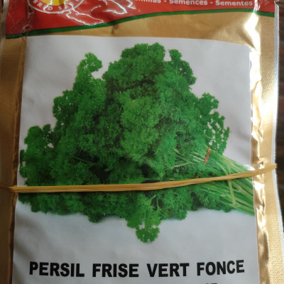 Persil frisé vert foncé