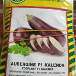 Aubergine kalanda