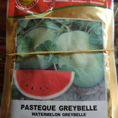 Pastèque greybelle