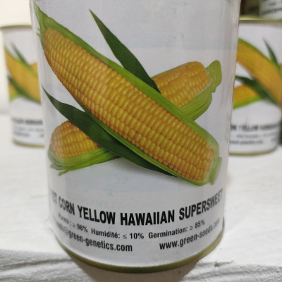 Maïs Yellow Hawaiian