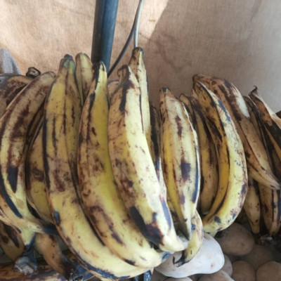 Banane plantin demi Kg