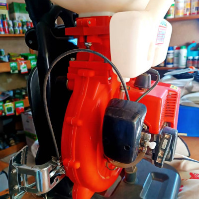 Pulvérisateur motorisé 14L