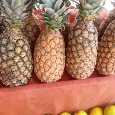 Ananas (kilo)