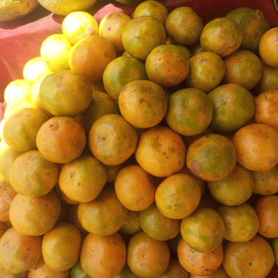 Mandarine local (demi-kilo)