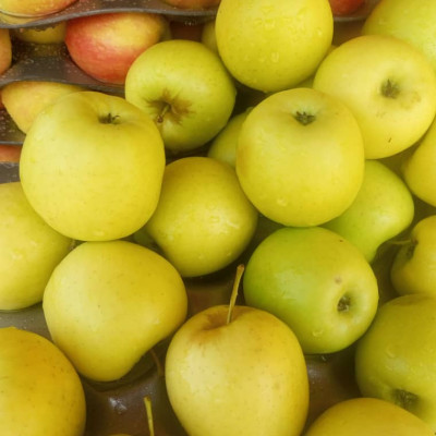 Pomme verte (demi-kilo)