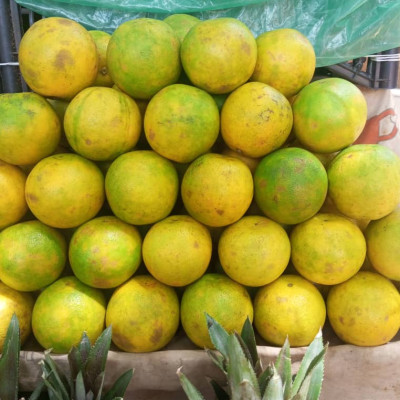 Orange local (demi-kilo)