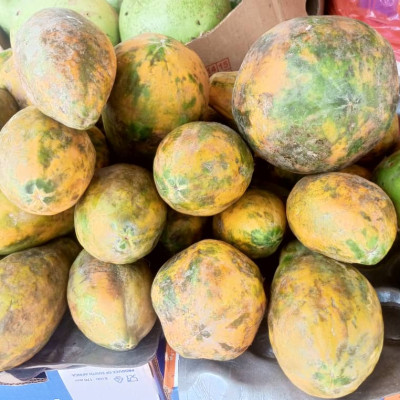 Papaye en kg