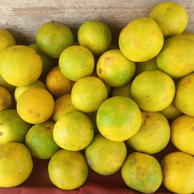 Orange simple demi kilo