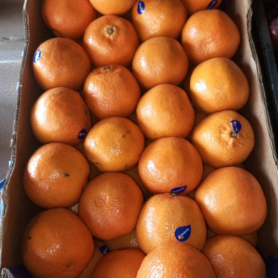 Orange agadez / Kilo