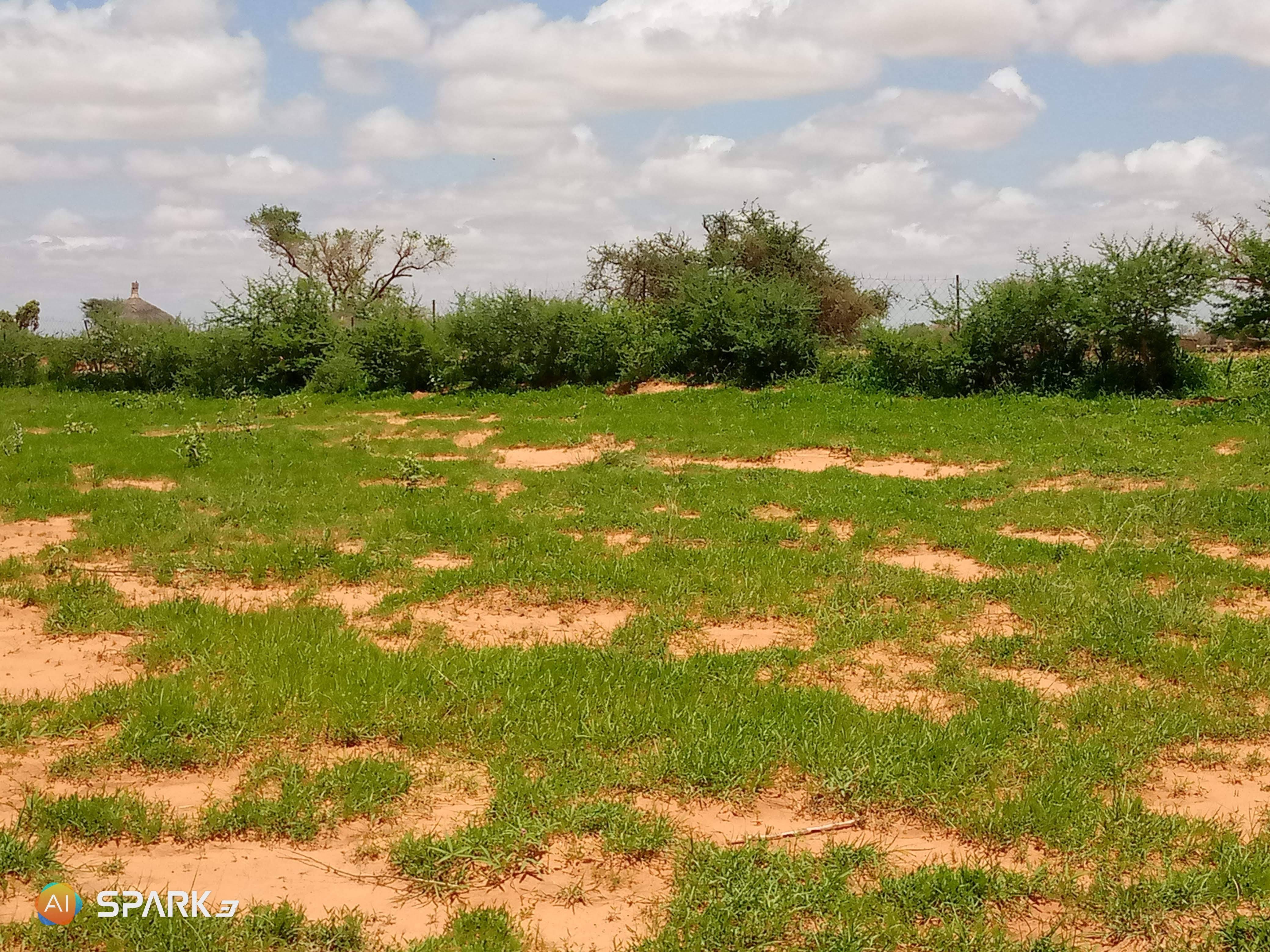 IMG_20200722_134407_621