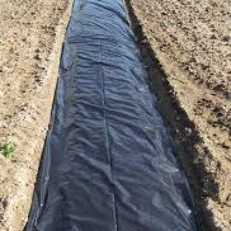 La solarisation en pépinière !  Comment garantir une production de plant à repiquer sains et vigoureux