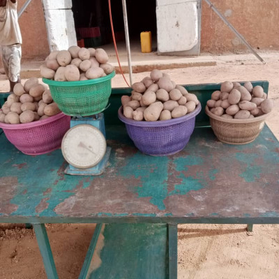 pomme de terre (kilo)