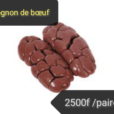 Rognon de bœuf par paire