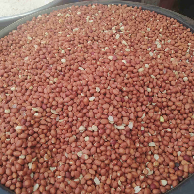 Arachide décortiqué