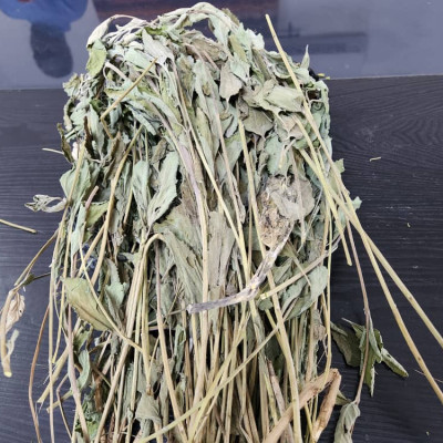 Verveine seché / Unité