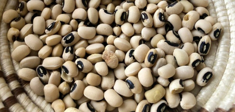 Céréales et Légumineuses