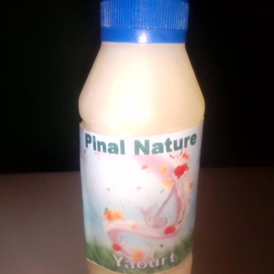 Yaourt Pinall Nature
