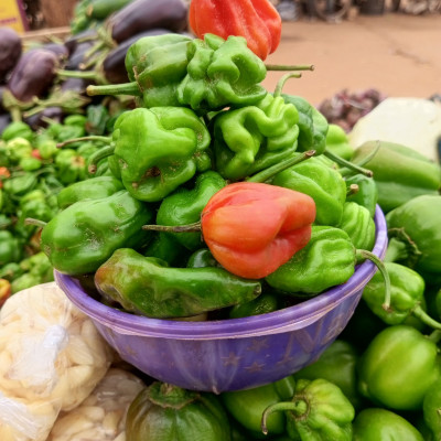 Piment vert demi tiya