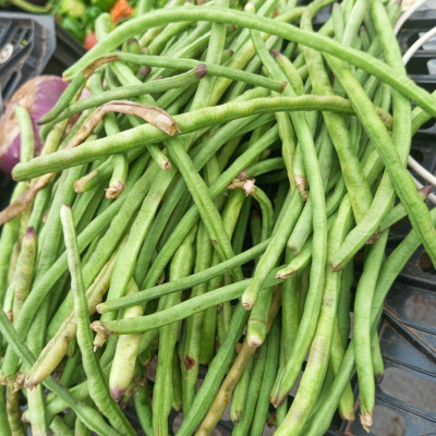 Haricot vert / Kg