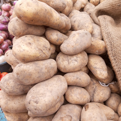 Pomme de terre / kilo