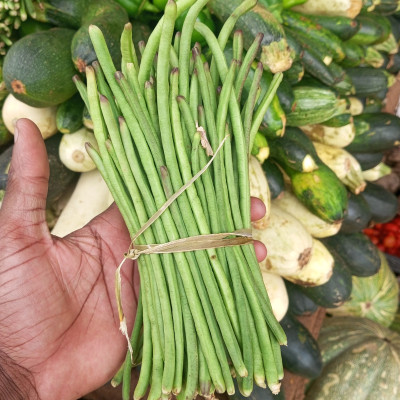 Haricot vert / Tas