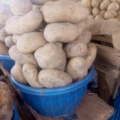 Pomme de Terre en kg  de taille moyenne