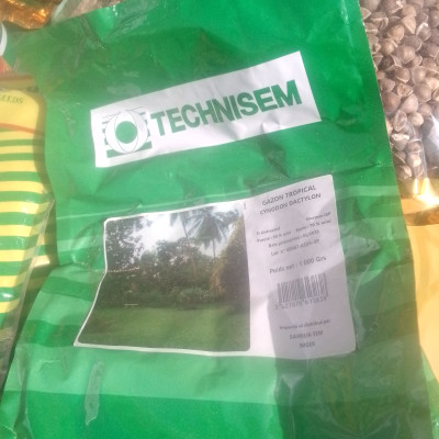 Gazon tropical cynodon dactylon