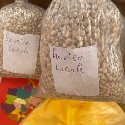 Semence Haricot local