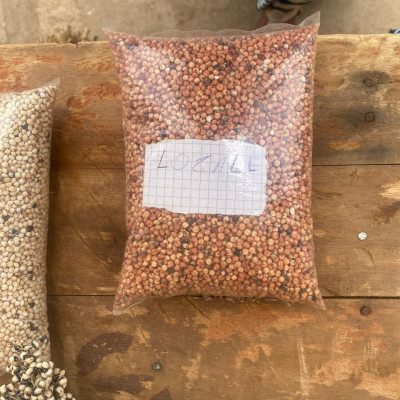 Semence Sorgho local