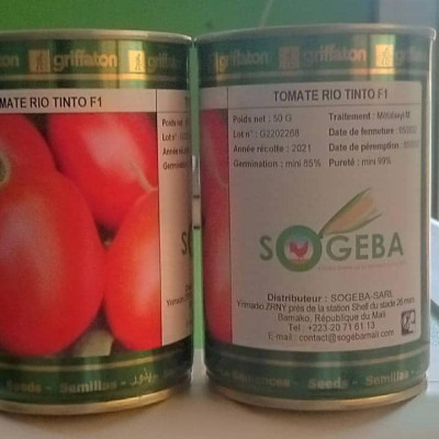 Semence Tomate RIO TINTO F1