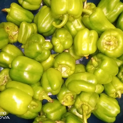 Poivron bio en tasse