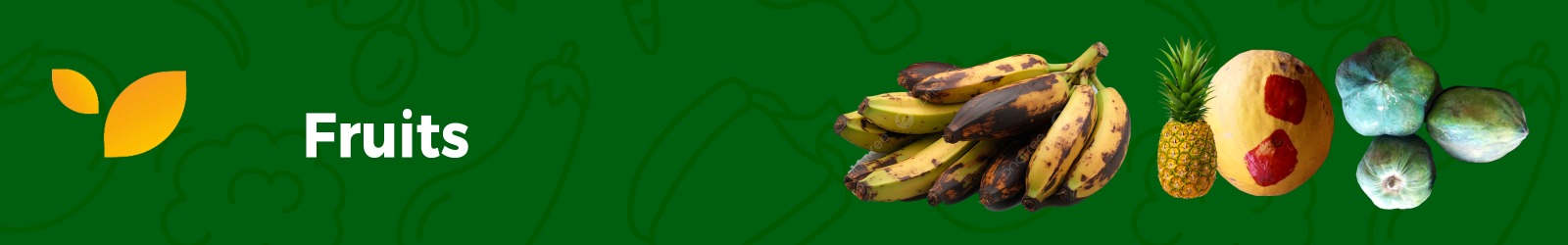 Fruits